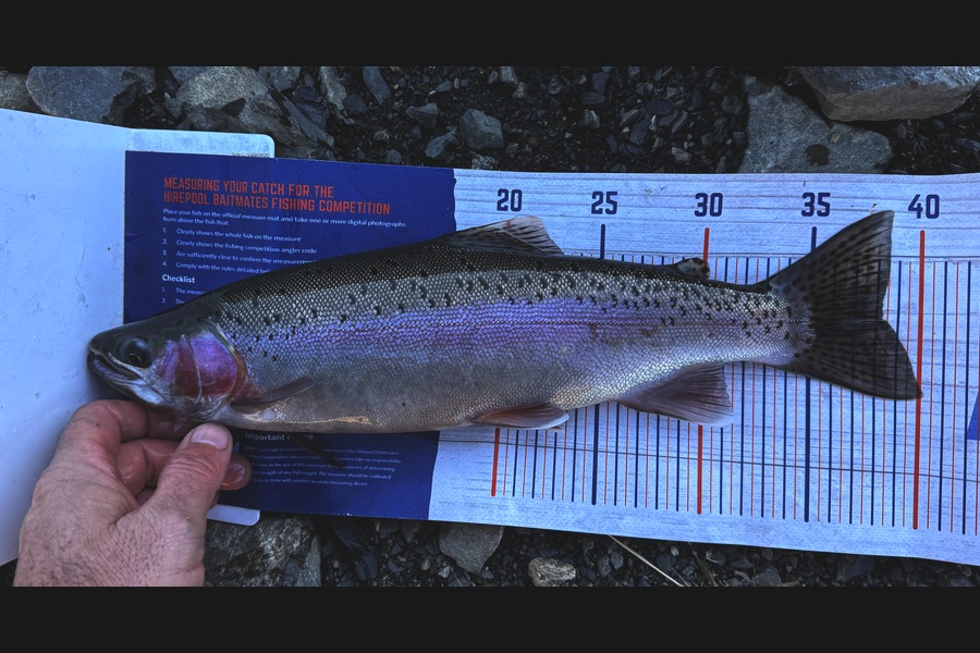 Steve Williams caught this 38.0cm Trout at Canterbury during The Export NZ Fishing Competition