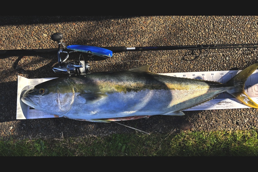 Tom Clancy caught this 110.0cm Kingfish at Coromandel during The Export NZ Fishing Competition
