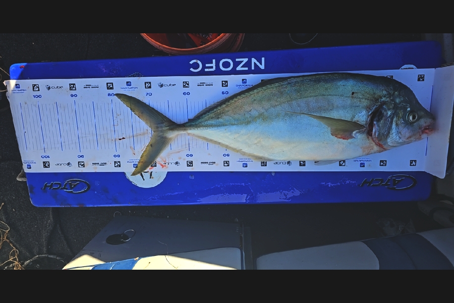 Greg Tucker caught this 69.5cm Trevally at Northland during The Export NZ Fishing Competition