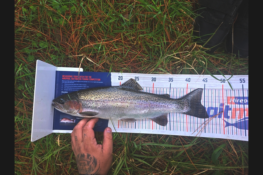 Peter Robb caught this 44.0cm Trout at Waikato during The Export NZ Fishing Competition