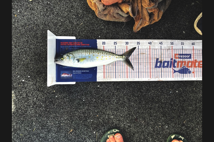 Jenn Kolk caught this 30.5cm Kahawai at Nelson/Marlborough during The Export NZ Fishing Competition