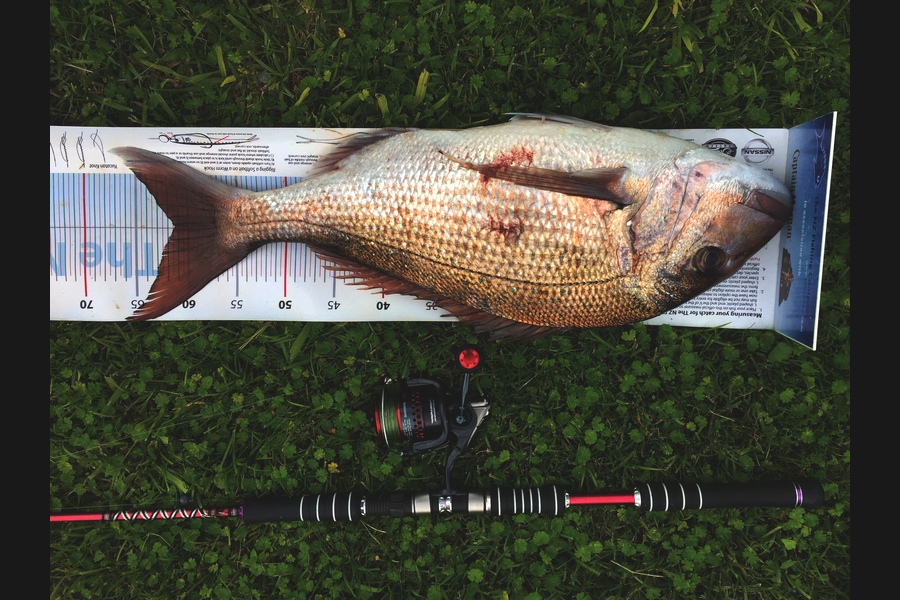 Doug Gray caught this 61.0cm Snapper at Gisborne during The Export NZ Fishing Competition