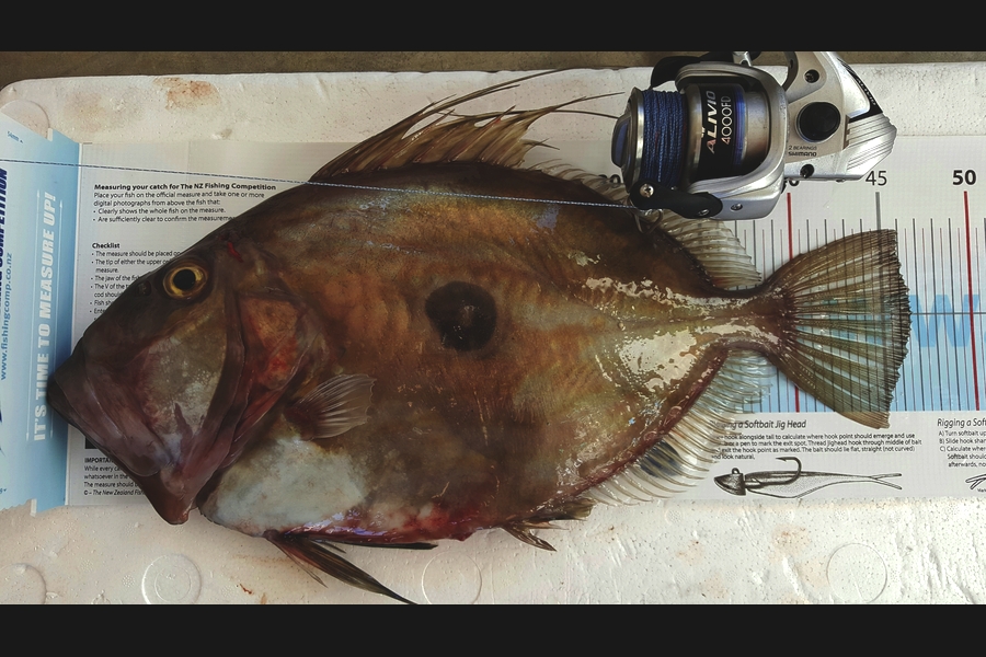 James Manales caught this 46.5cm John Dory at Firth of Thames during The Export NZ Fishing Competition