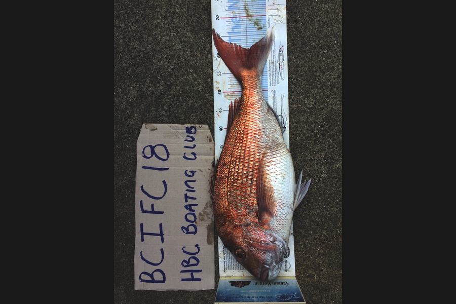 Steve Naylor caught this 61.0cm Snapper at Stanmore Bay during The Export NZ Fishing Competition