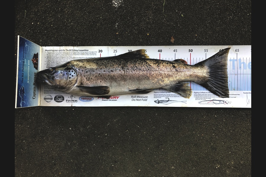 Johnny Huynen caught this 61.5cm Trout at Wairarapa  during The Export NZ Fishing Competition