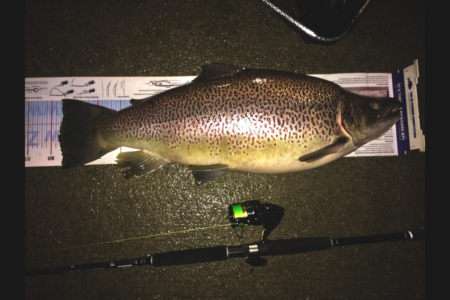 Jason Murray caught this 78.0cm Trout at Twizel  during The Export NZ Fishing Competition