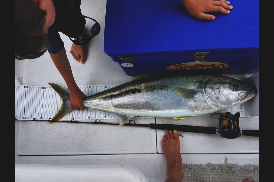 Dave Adams caught this 106.0cm Kingfish at Horn rock during The Export NZ Fishing Competition