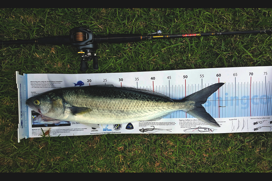 Clinton Blair caught this 54.5cm Kahawai at Bream Bay during The Export NZ Fishing Competition