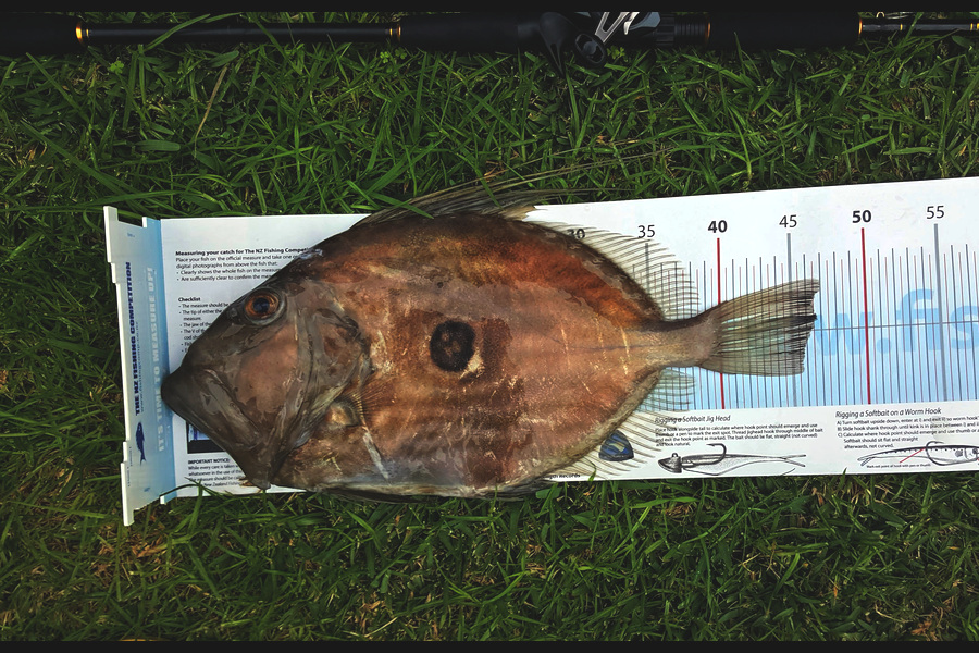 Clinton Blair caught this 46.5cm John Dory at Bream Bay during The Export NZ Fishing Competition