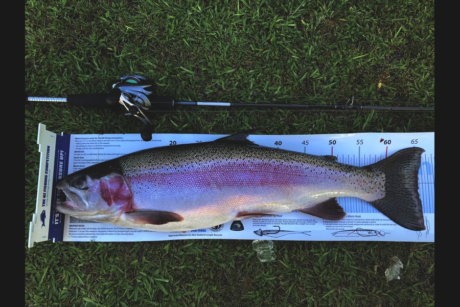 Ian Pedersen caught this 65.0cm Trout at BOP during The Export NZ Fishing Competition