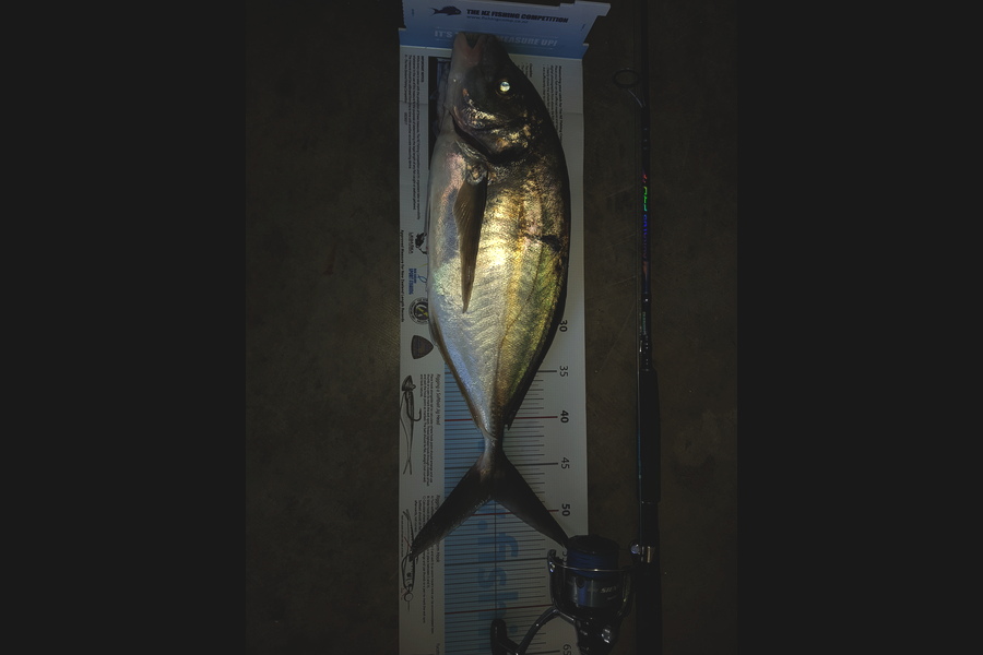 James Manales caught this 48.5cm Trevally at Thames during The Export NZ Fishing Competition