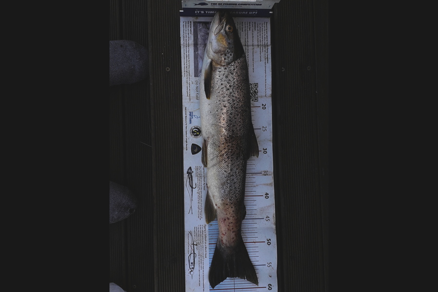 Daniel Primmer caught this 57.5cm Trout at Motueka river during The Export NZ Fishing Competition
