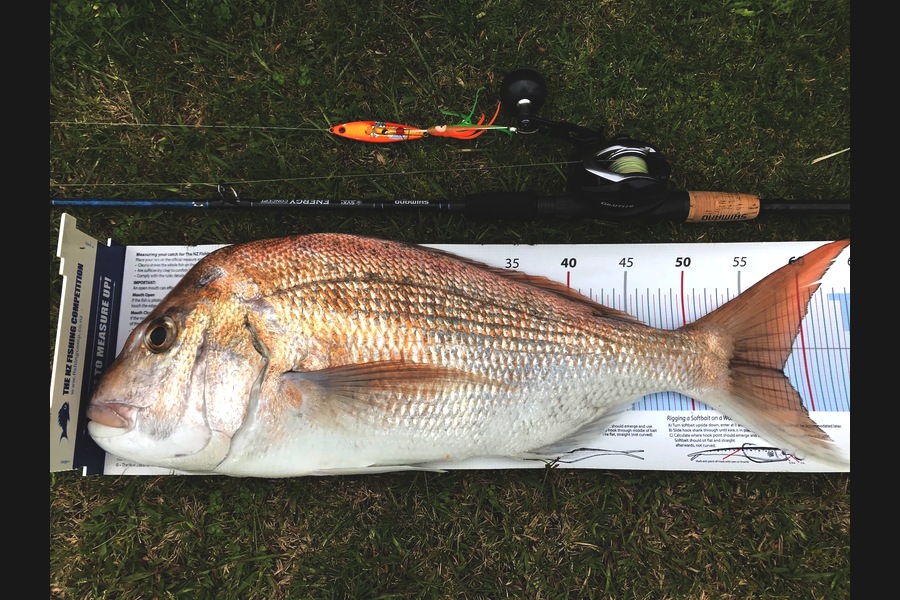 Ian Pedersen caught this 57.5cm Snapper at Coromandel  during The Export NZ Fishing Competition