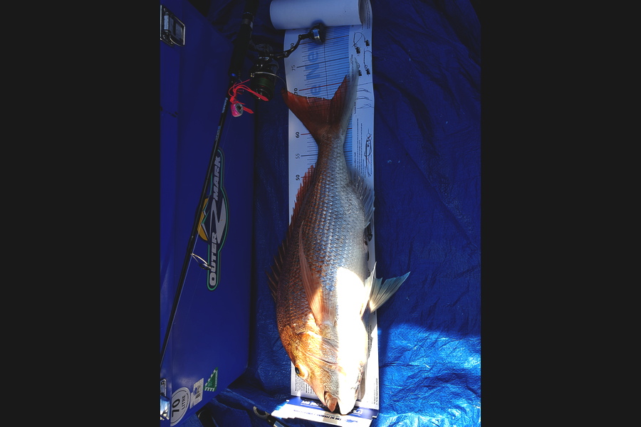 Alton King caught this 66.5cm Snapper at Hen and Chicks during The Export NZ Fishing Competition
