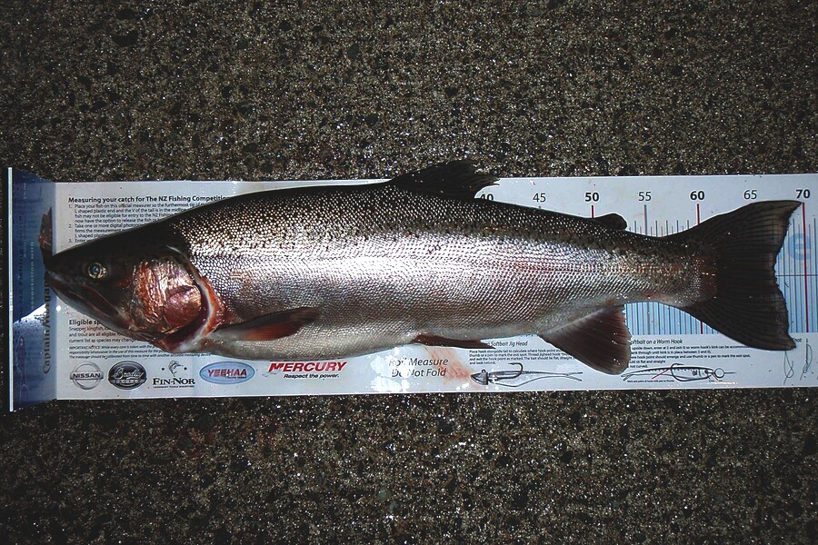 Taylor Kingi caught this 67.0cm Trout at Rotoiti during The Export NZ Fishing Competition