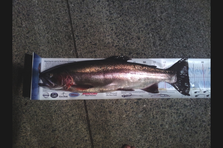 Trent Hayman caught this 72.0cm Trout at lake rotoiti during The Export NZ Fishing Competition