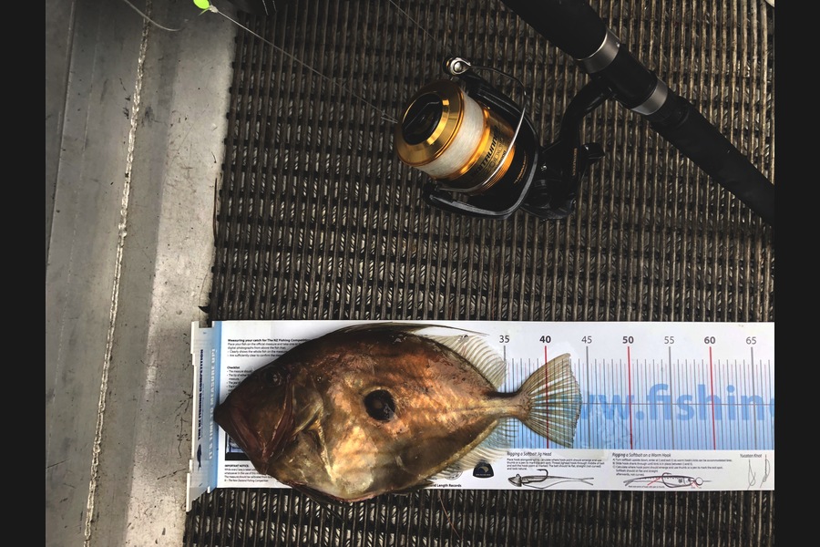 Luke McMeekin caught this 44.cm John Dory at Firth of Thames during The Export NZ Fishing Competition