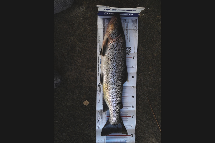 Daniel Primmer caught this 58.5cm Trout at Motueka river during The Export NZ Fishing Competition