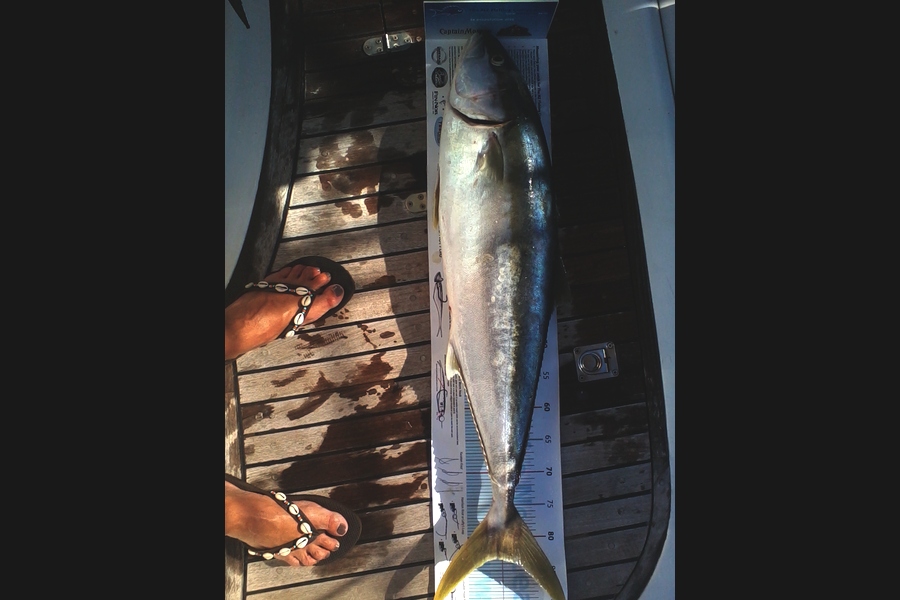 Catherine Roberts caught this 83.5cm Kingfish at Bottom End Waiheke during The Export NZ Fishing Competition