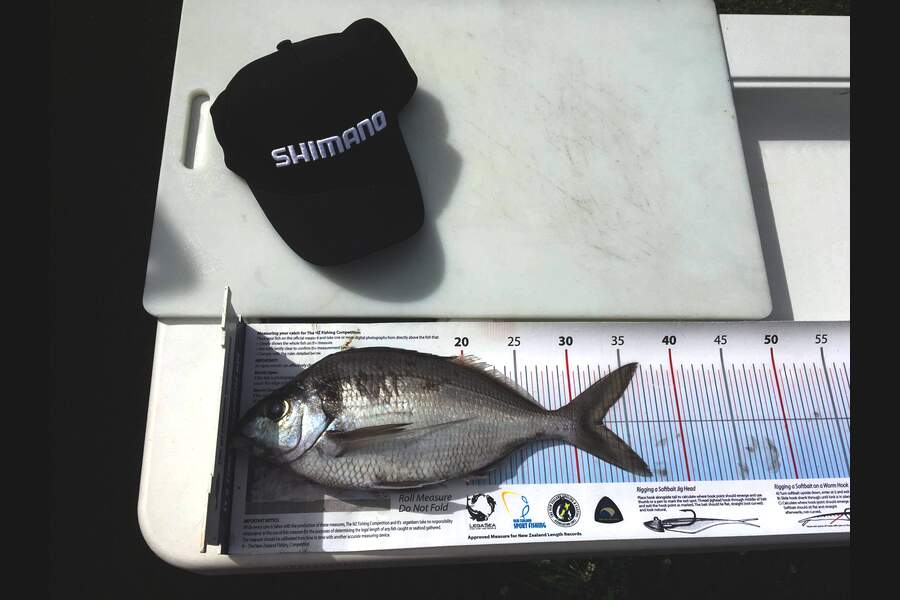 Samuel Georges caught this 32.5cm Tarakihi at Mana  during The Export NZ Fishing Competition