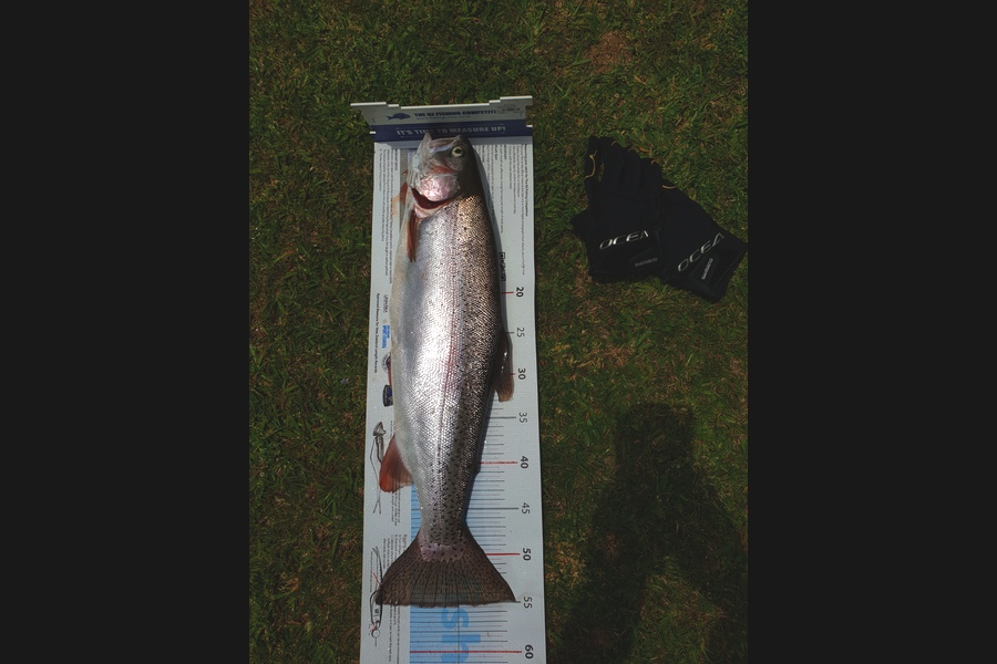 Ryan Muir caught this 55.5cm Trout at Rotiti during The Export NZ Fishing Competition