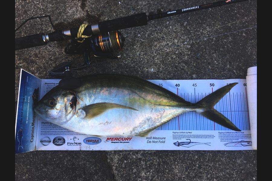 Anthony Murray caught this 49.5cm Trevally at Kapiti during The Export NZ Fishing Competition