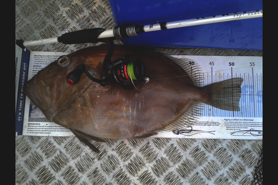 Brian  Gallogly caught this 51.5cm John Dory at Nth Waiheke during The Export NZ Fishing Competition