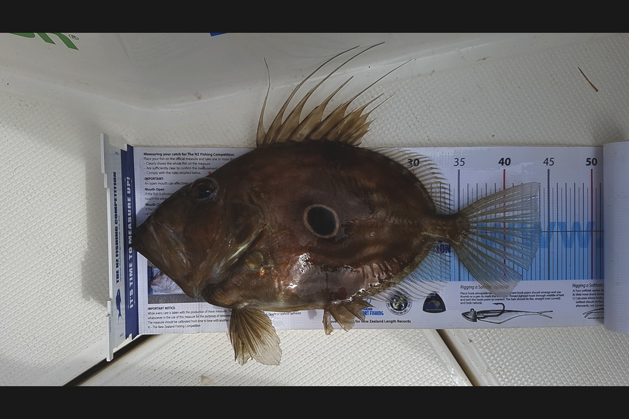 Spencer Roff caught this 44.0cm John Dory at The Pins during The Export NZ Fishing Competition
