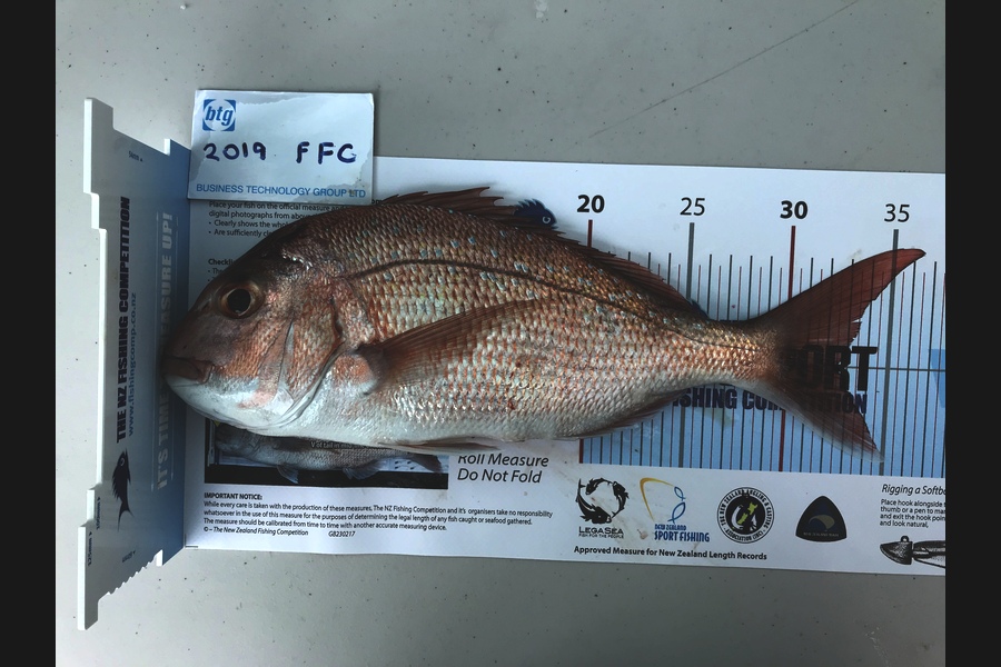 brian Casserly caught this 32.5cm Snapper at Motive channel  during The Export NZ Fishing Competition