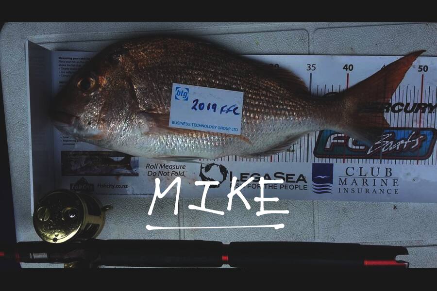 Mike James caught this 44.5cm Snapper at Rakino during The Export NZ Fishing Competition
