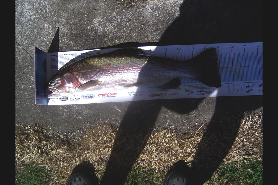 Earle Silcock caught this 64cm Trout at lake Rotoiti during The Export NZ Fishing Competition