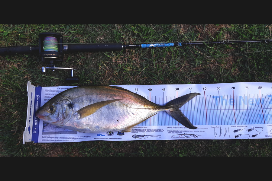 Phil Potts caught this 50.5cm Trevally at Tauranga Harbour  during The Export NZ Fishing Competition