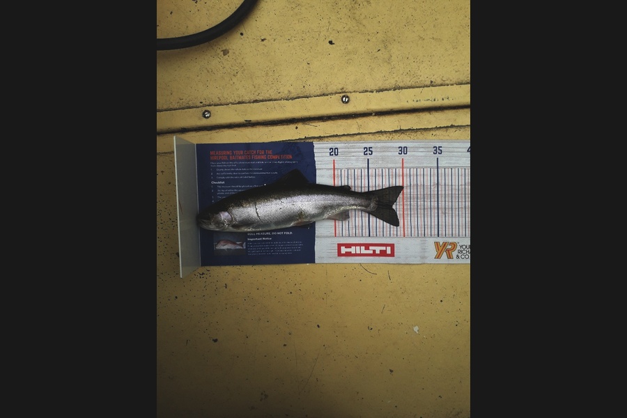 CRAIG MILNE caught this 28.5cm Trout at lake Monowai during The Export NZ Fishing Competition