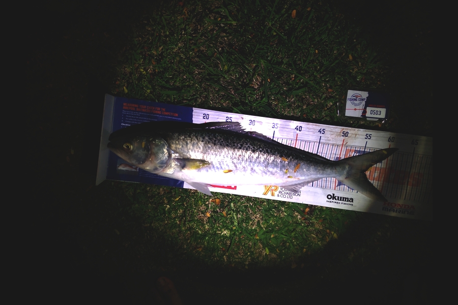 Ben Cullen caught this 55.5cm Kahawai at Browns bay during The Export NZ Fishing Competition
