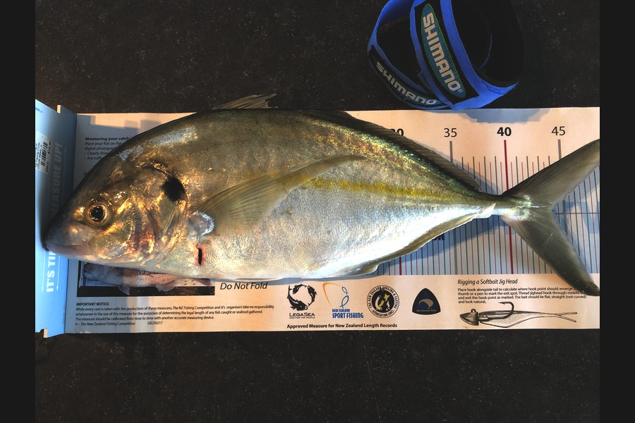 Kirstie  Huxtable  caught this 43.5cm Trevally at Bowentown Waihi  during The Export NZ Fishing Competition