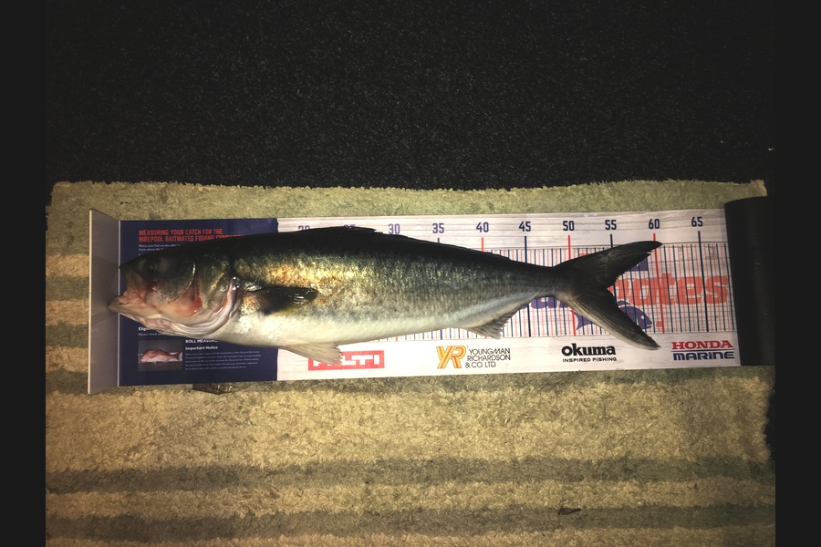 Neels Erasmus caught this 54.0cm Kahawai at Tiri during The Export NZ Fishing Competition