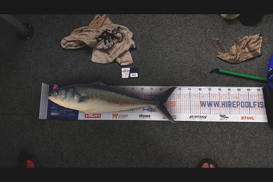 Riaan Hunt caught this 57.0cm Kahawai at tiri during The Export NZ Fishing Competition