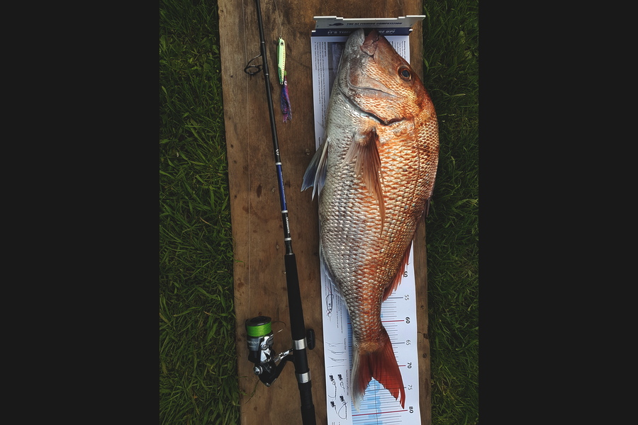 Martin Du Plessis  caught this 72.0cm Snapper at Whanganui during The Export NZ Fishing Competition