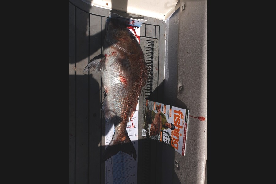 Jodi Wright caught this 72.5cm Snapper at Audimans during The Export NZ Fishing Competition