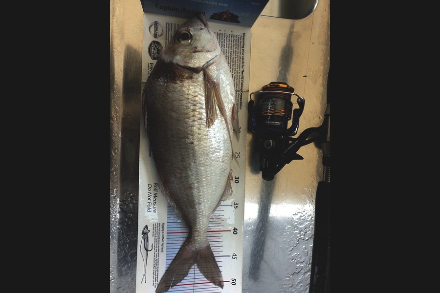 John Ballard caught this 46cm Tarakihi at Gisborne during The Export NZ Fishing Competition