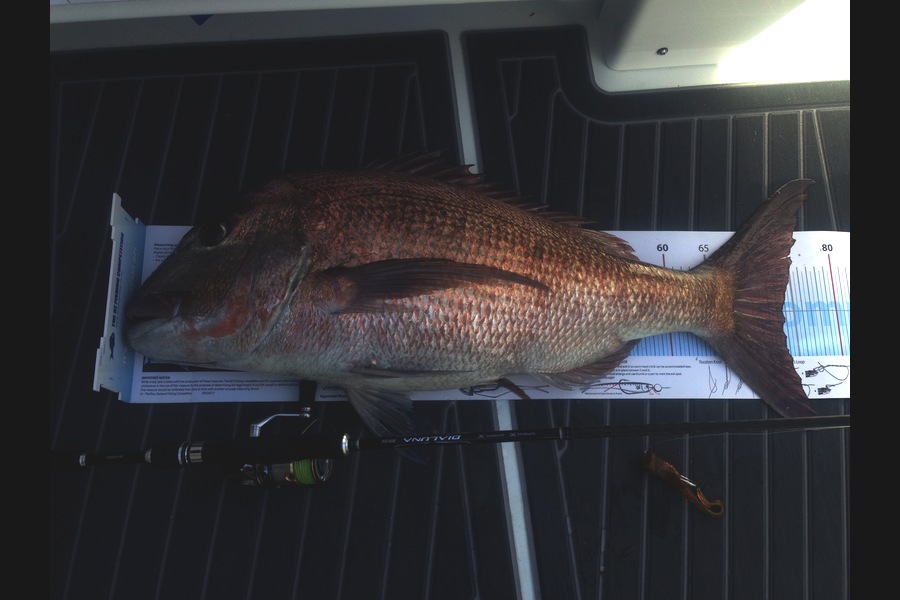 Garry Hirst caught this 73.5cm Snapper at BOI during The Export NZ Fishing Competition