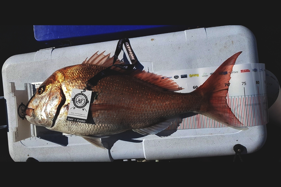 Gary  Riddell caught this 69cm Snapper at Coromandel during The Export NZ Fishing Competition