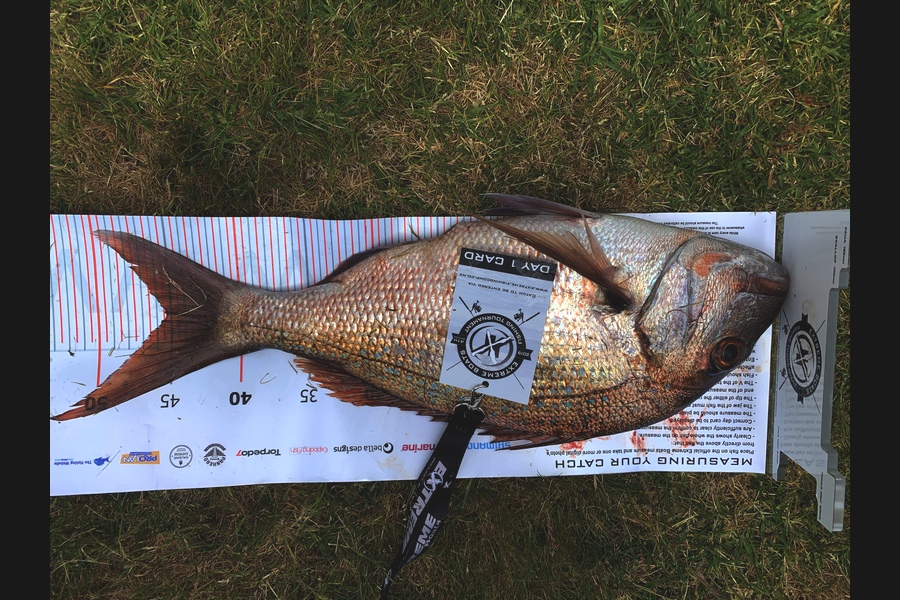 Craig  Wells caught this 45.0cm Snapper at Coromandel during The Export NZ Fishing Competition