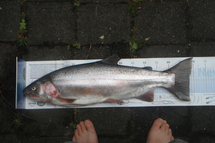 Cy Lochead caught this 68.0cm Trout at Lake Okataina during The Export NZ Fishing Competition