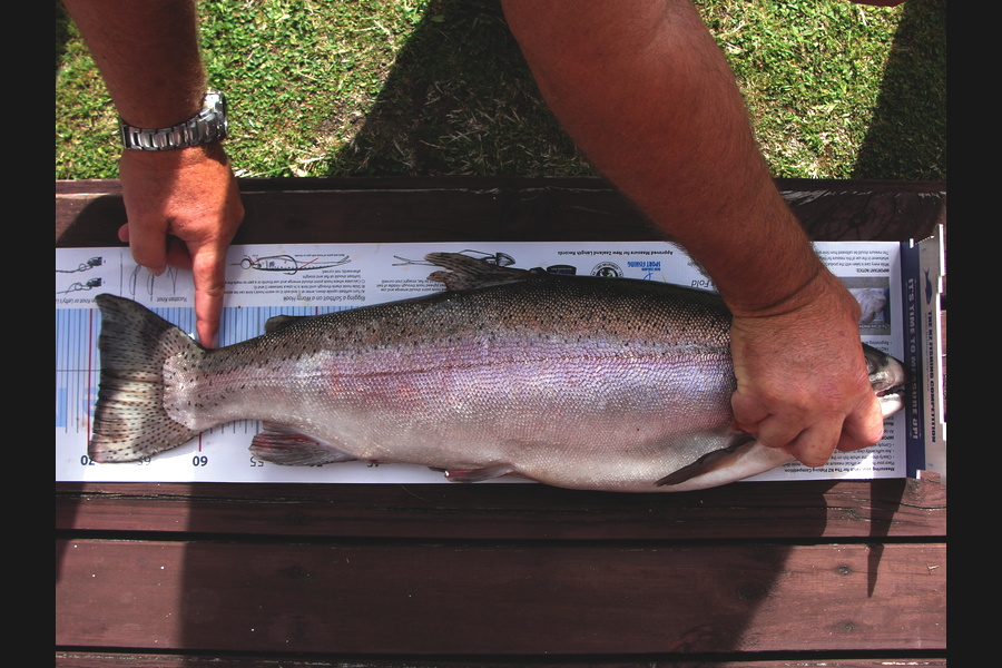 Neil Gwillim caught this 69.0cm Trout at Lake Rotoiti during The Export NZ Fishing Competition