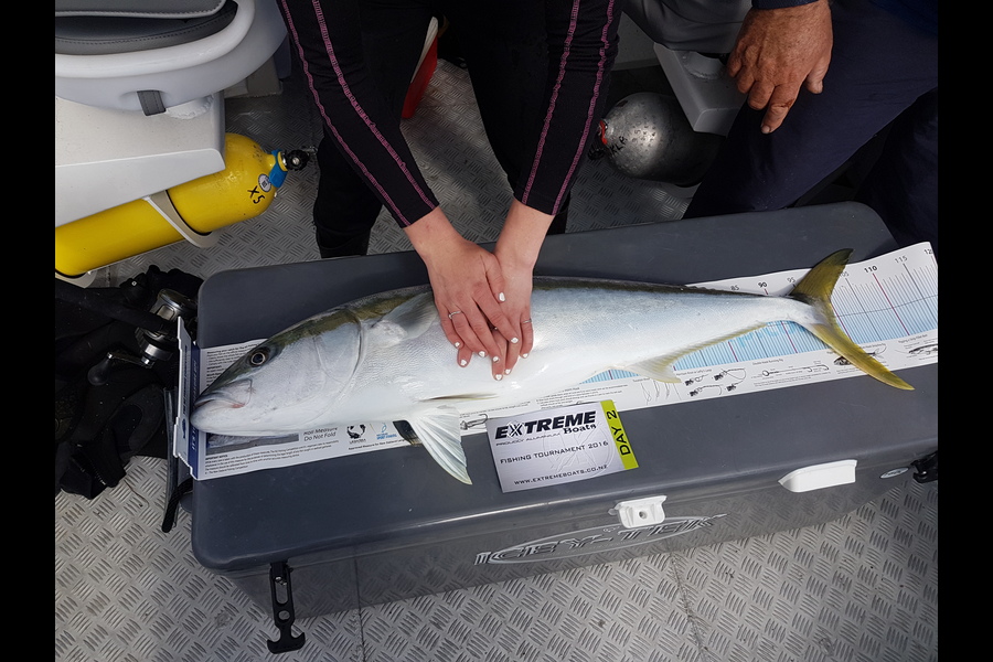 Toby Barkla caught this 99.0cm Kingfish at Sarahs gully whitianga during The Export NZ Fishing Competition