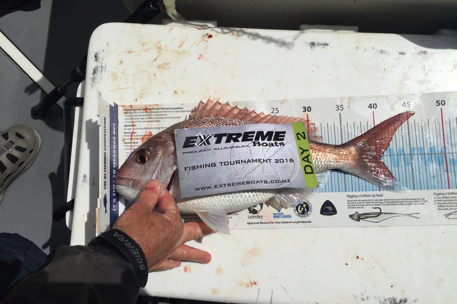 Peter  Bourke caught this 40.5cm Snapper at Matarangi during The Export NZ Fishing Competition