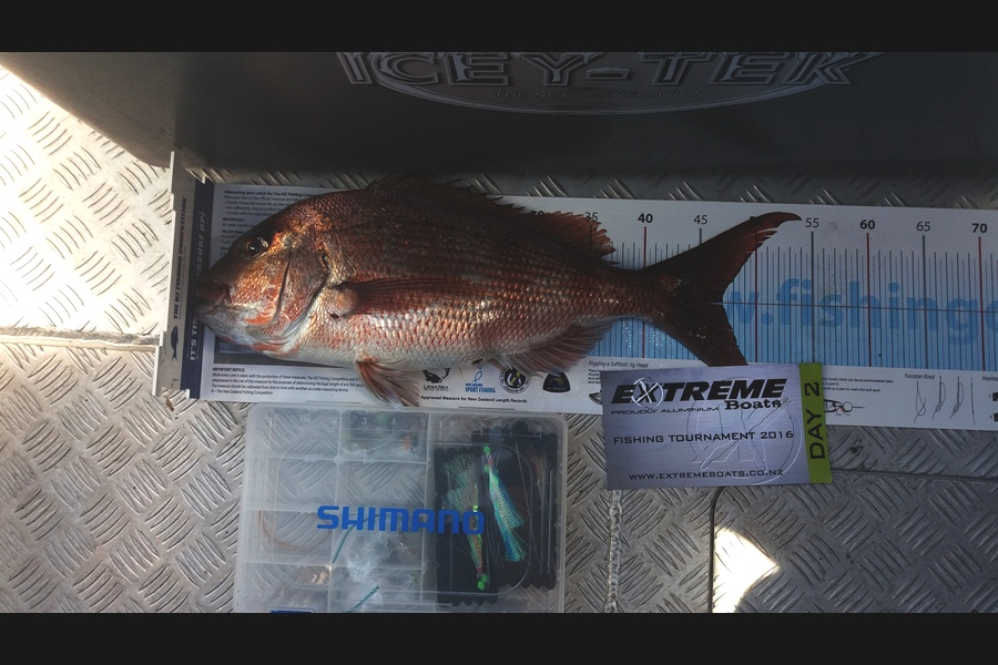 Anna-Marie Rogers caught this 47.0cm Snapper at Great Mercury during The Export NZ Fishing Competition