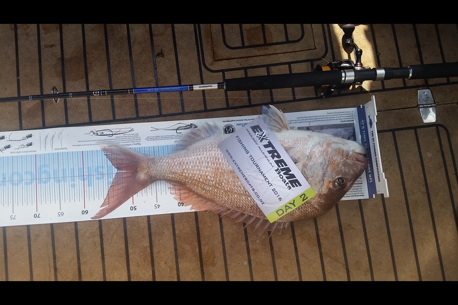 Mark Atikinson caught this 53.0cm Snapper at Mercs during The Export NZ Fishing Competition