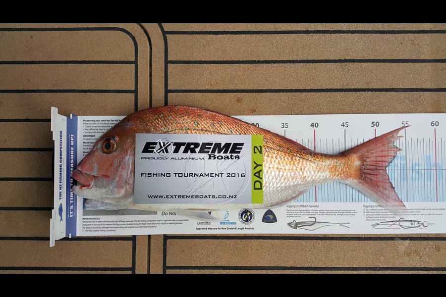 Greg  Hyde caught this 51.5cm Snapper at  Whitianga during The Export NZ Fishing Competition